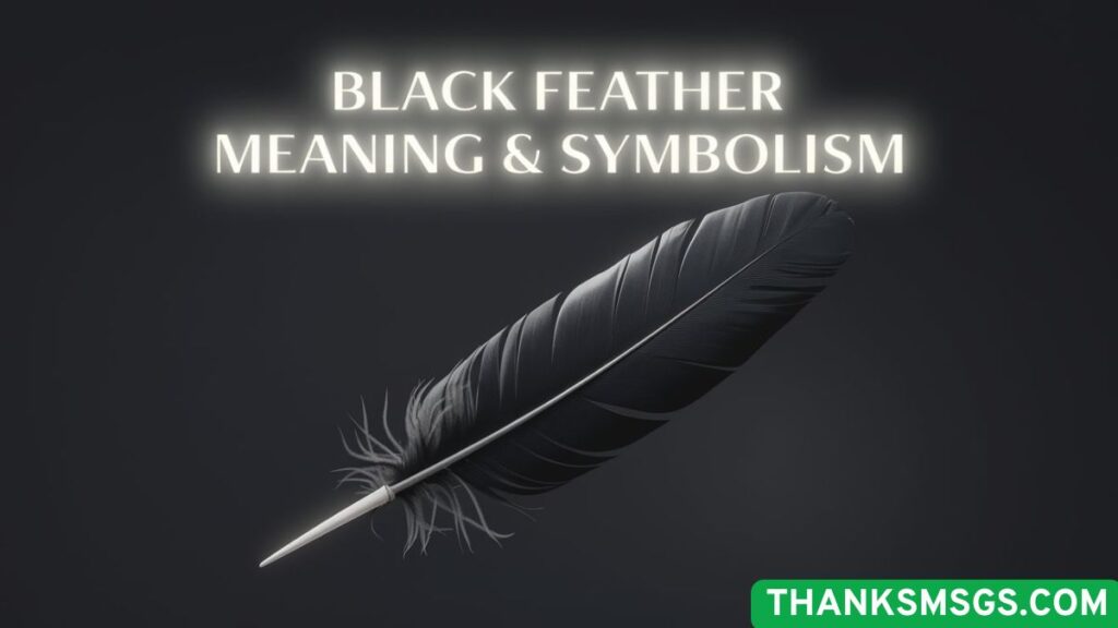 Black Feather Meaning & Symbolism