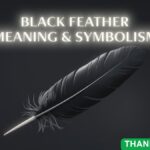 Black Feather Meaning & Symbolism
