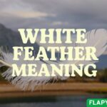 White Feather Meaning