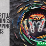 7 Spiritual Meanings of Jumping Spiders