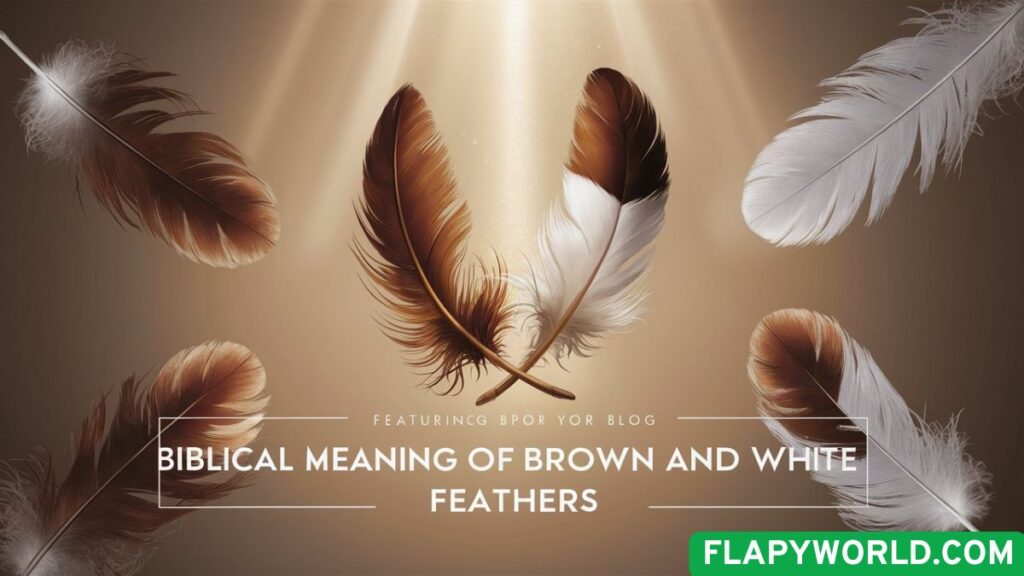 Biblical Meaning of Brown and White Feathers