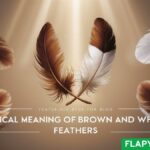 Biblical Meaning of Brown and White Feathers