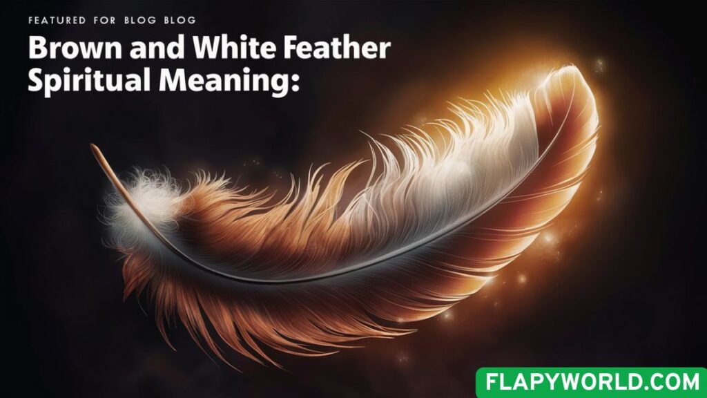 Brown and White Feather Spiritual Meaning