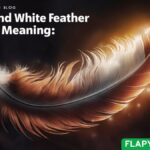 Brown and White Feather Spiritual Meaning