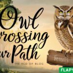 Owl Crossing Your Path
