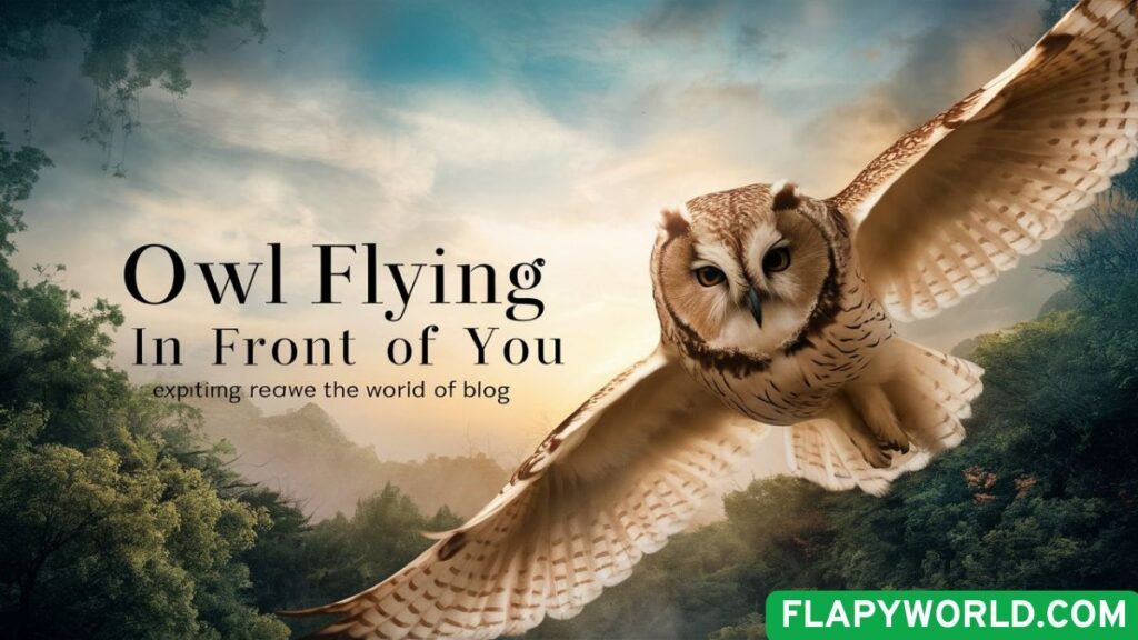 Owl Flying in Front of You