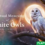 Spiritual Meaning of White Owls