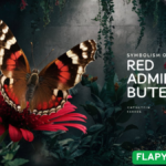 Symbolism of the Red Admiral Butterfly