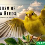 Symbolism of Yellow Birds