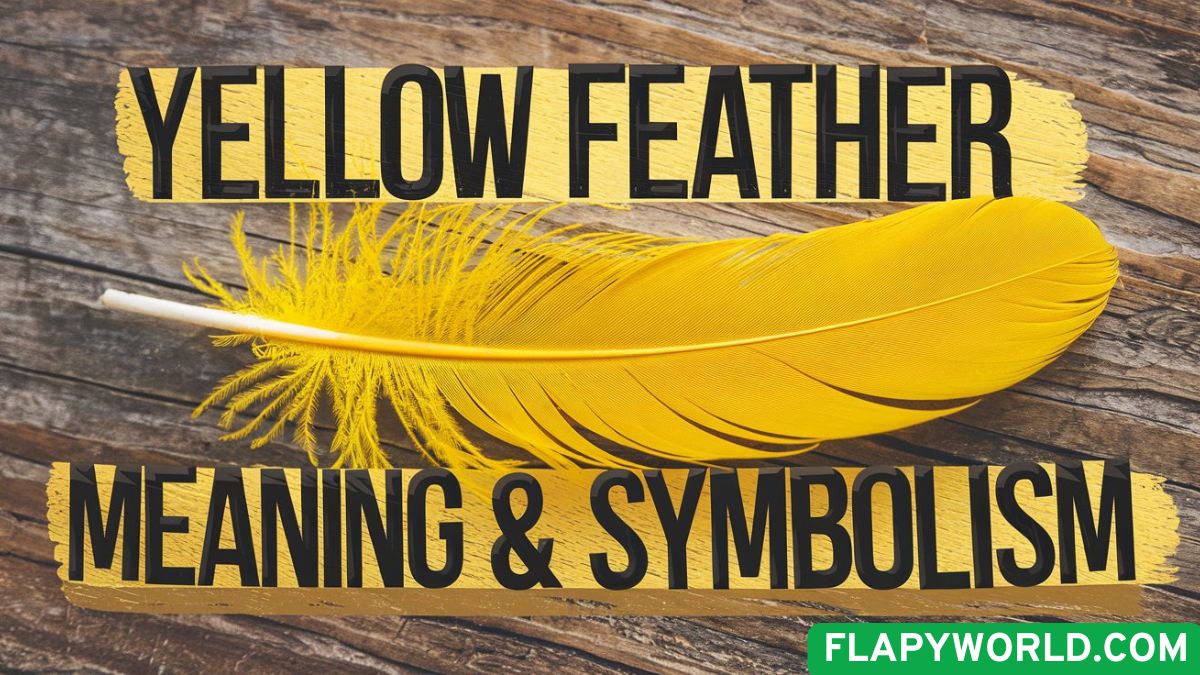Yellow Feather Meaning & Symbolism