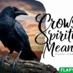 Crows Spiritual Meaning