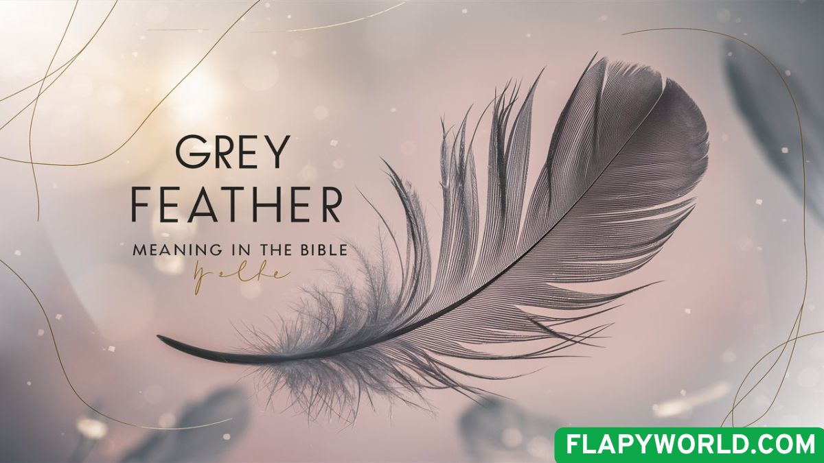 Grey Feather Meaning in the Bible