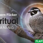Northern Flicker Spiritual Meaning