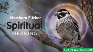 Northern Flicker Spiritual Meaning