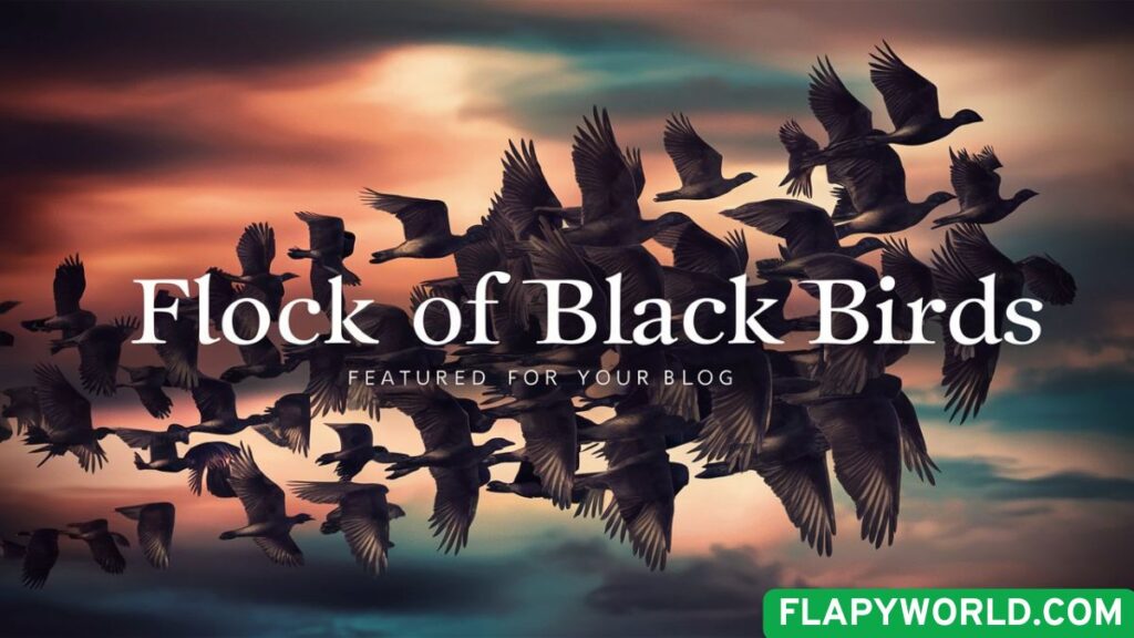 Flock of Black Birds