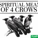 Spiritual Meaning of 4 Crows: Signs You Should Not Ignore