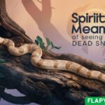 Spiritual Meaning of Seeing a Dead Snake