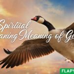 The Spiritual Meaning of Geese
