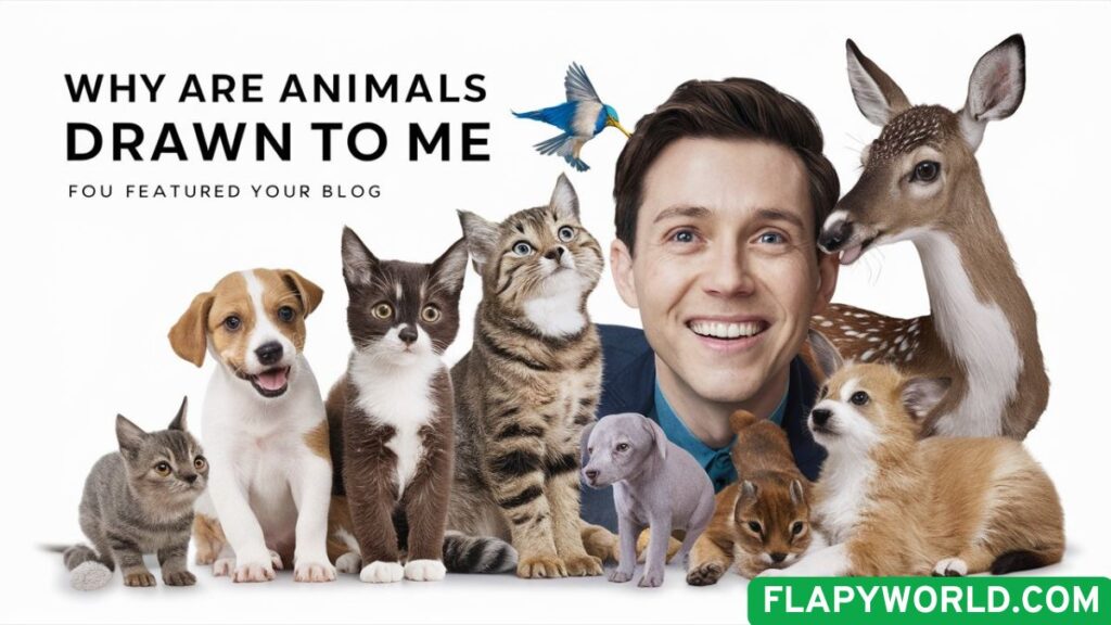 Why Are Animals Drawn to Me Spiritual Meaning