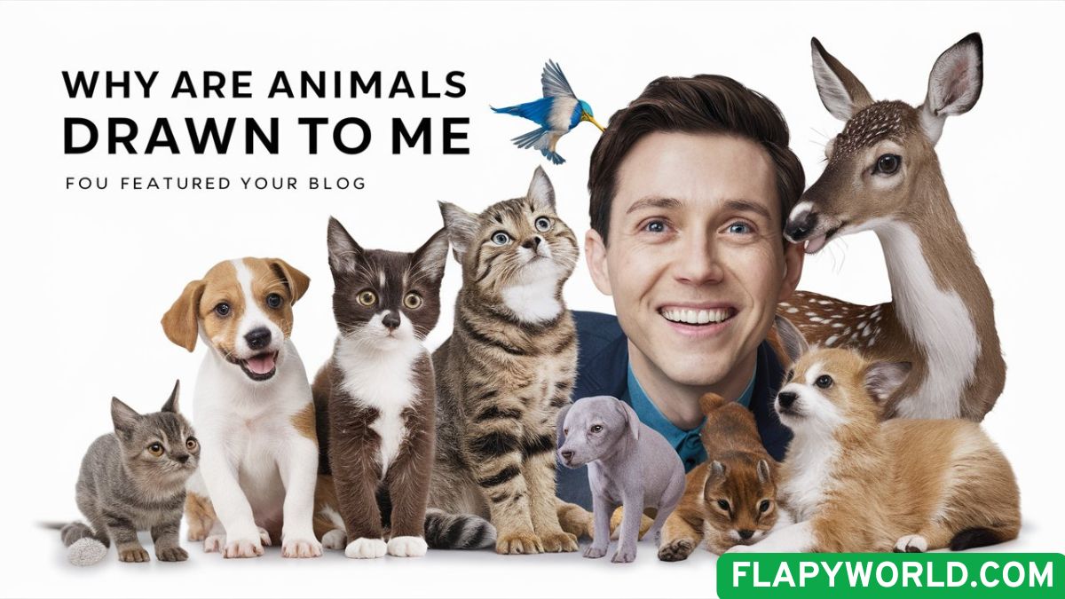 Why Are Animals Drawn to Me Spiritual Meaning