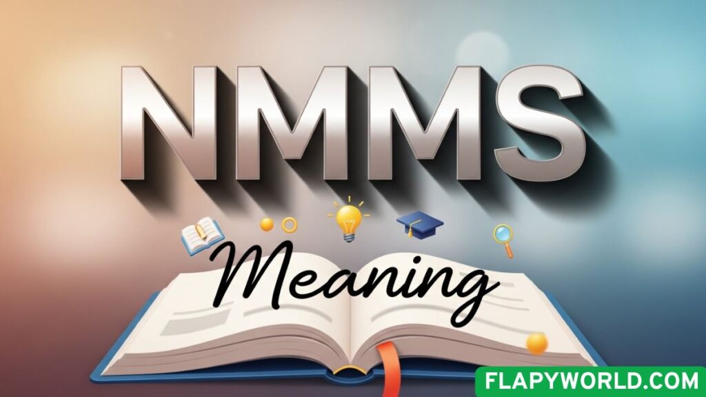 NMMS Meaning in Text