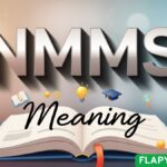 NMMS Meaning in Text