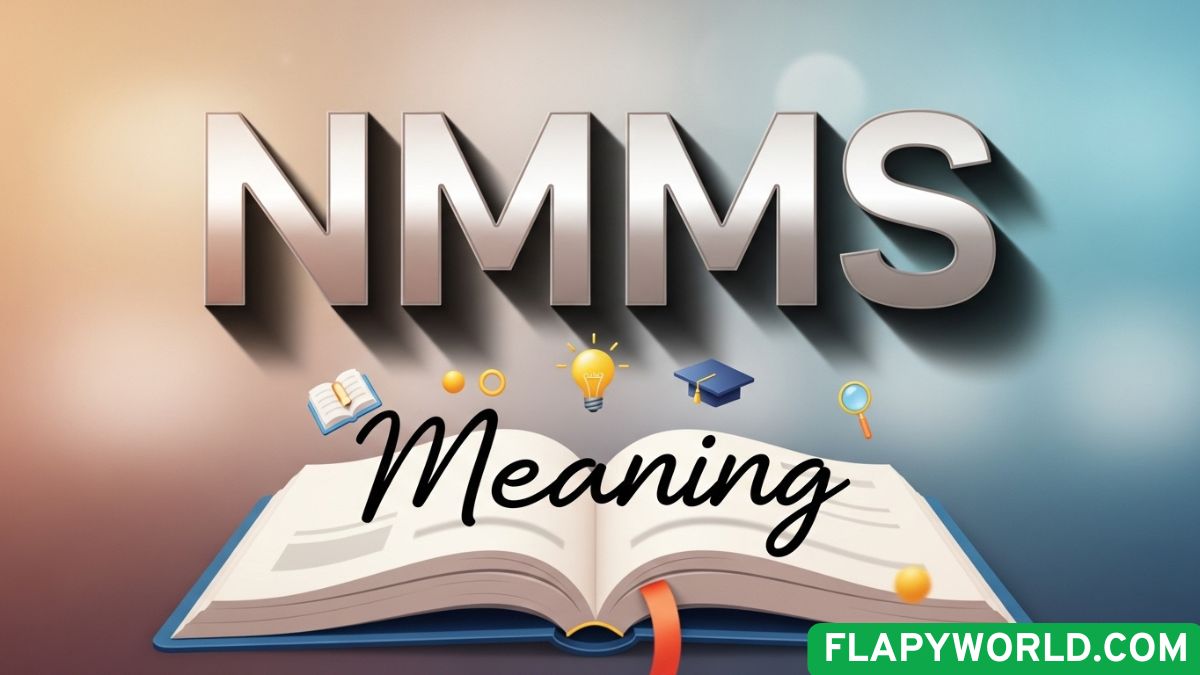 NMMS Meaning in Text