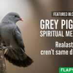 grey-pigeon-spiritual-meaning