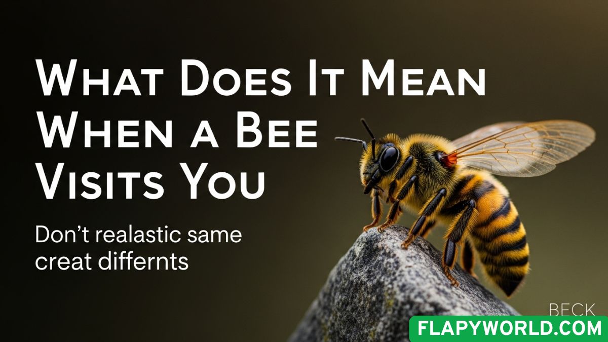 what-does-it-mean-when-a-bee-visits-you
